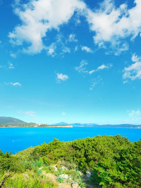 Sardinië kustlijn vanuit Cala Dragunara — Stockfoto