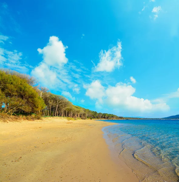 Nuvole sulla spiaggia di Mugoni — Foto Stock