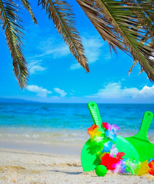 Ramas de palma y raquetas de playa — Foto de Stock