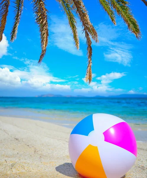 Beach ball under a palm branch — Stock Photo, Image