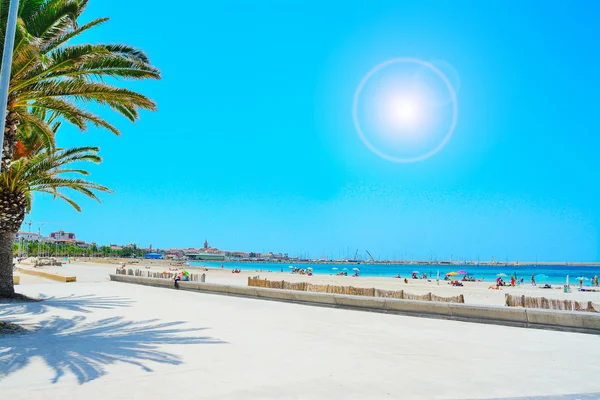 Alghero shoreline under a bright sun — Stock Photo, Image