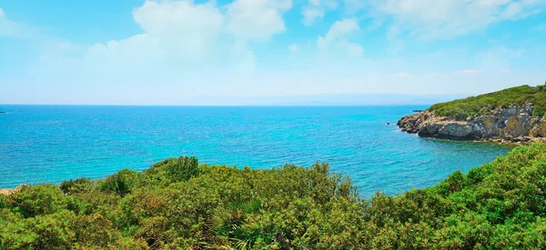 Costa verde na Sardenha — Fotografia de Stock