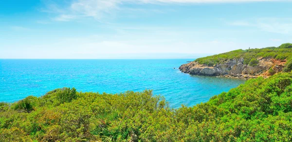 Zelené pobřeží v Alghero — Stock fotografie