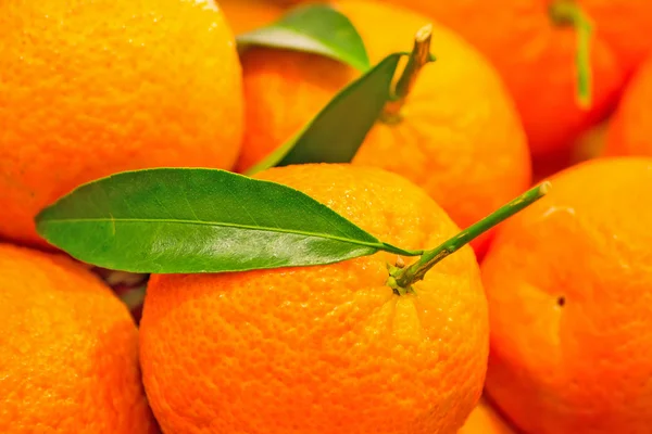 Oranges with green leaves — Stock Photo, Image