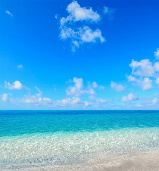 Stintino strandlinjen en klar sommardag — Stockfoto