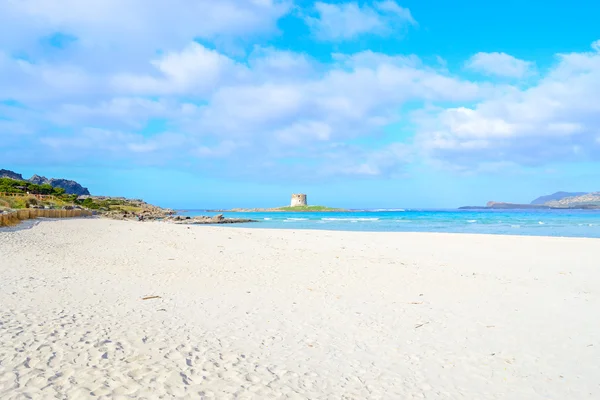 Spiaggia La Pelosa sotto un cielo nuvoloso — Foto Stock