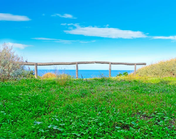 Erba verde lungo la costa a Lu Bagnu — Foto Stock