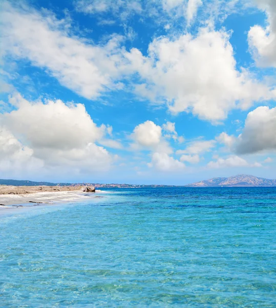 Garis pantai Stintino di bawah langit yang mendung — Stok Foto