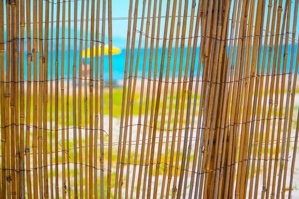 Reeds fence by the shore — Stock Photo, Image