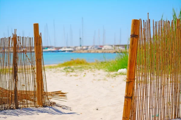 Alghero'da beach girişinde sazlık çit — Stok fotoğraf