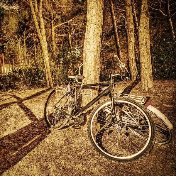 Fahrräder im Wald bei Nacht in Sepiatönen — Stockfoto