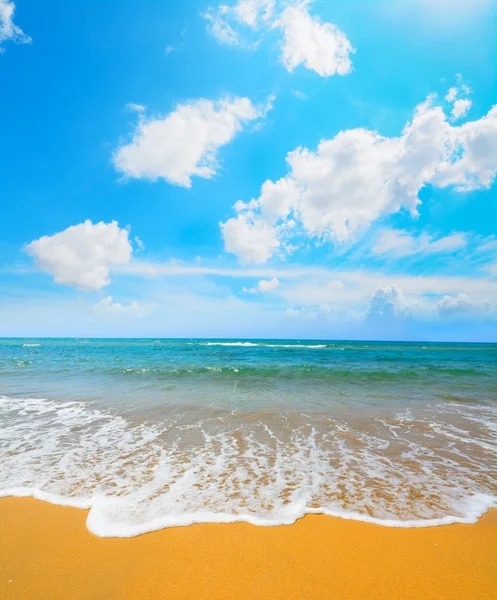 Porto Ferro shoreline under a cloudy sky — Stock Photo, Image