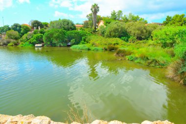 Alghero'da güzel lagün