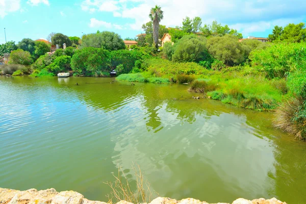Smuk lagune i Alghero - Stock-foto