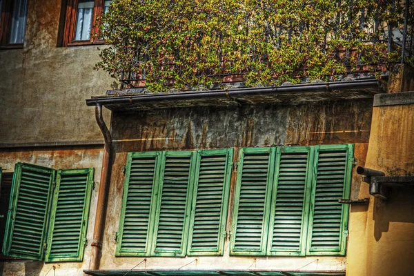 Closed windows in a grunge facade in Florence — Stock Photo, Image