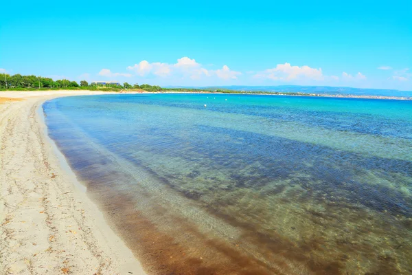 Sandküste in Düngung — Stockfoto