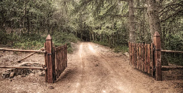 Cancello aperto nella foresta di Burgos — Foto Stock