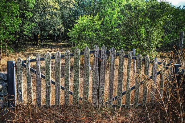 Velho portão na floresta — Fotografia de Stock