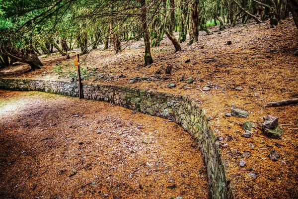 Kleine muur in Burgos bos — Stockfoto