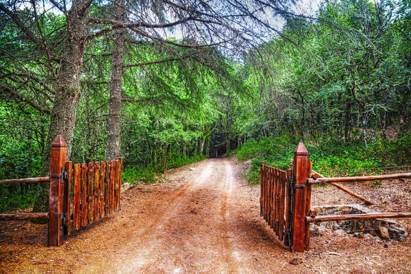 Puerta marrón en el bosque de Burgos Imágenes de stock libres de derechos