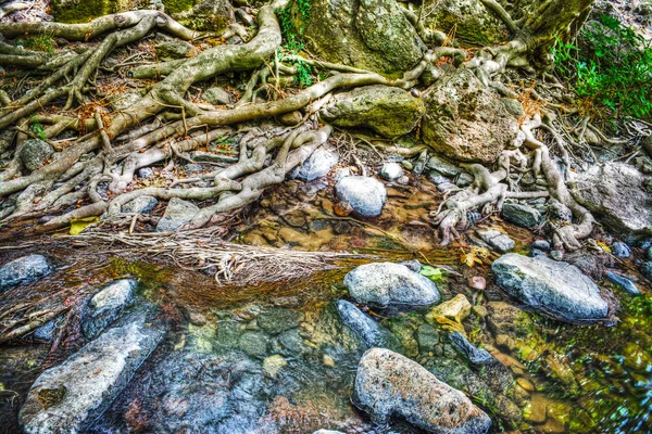 Wortels en rotsen in Triulintas waterval — Stockfoto