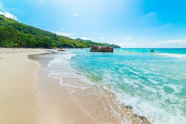 Sun shining over a tropical beach with turquoise water. Seychelles, Indian ocean