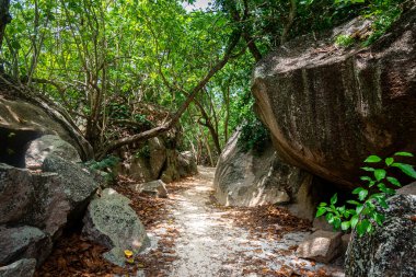Ormandaki kum yolu granit kayalar ve tropikal bitki örtüsüyle çevrili. Seyşeller, Hint Okyanusu