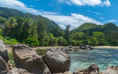 Seyşeller, Hint Okyanusu 'ndaki boş bir tropik sahilde kayalar ve palmiye ağaçları.