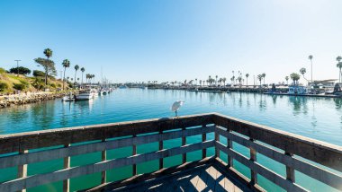 Okyanus kıyısında mavi gökyüzü. Kaliforniya, ABD