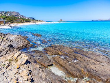 La Pelosa sahilinde kayalar ve turkuaz su. Stintino, Sardinya, İtalya