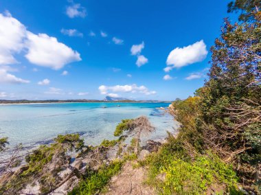 Lu Impostu sahilinde turkuaz su ve bitkiler. Sardunya, İtalya