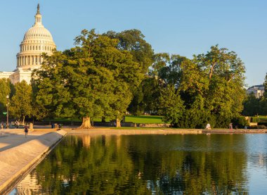 Arka planda Birleşik Devletler Kongre Binası 'nın havuzu yansıtılıyor. Washigton DC, ABD