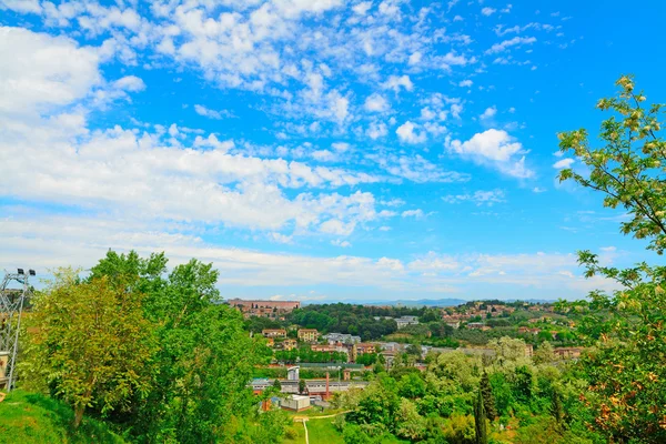 Zielony krajobraz przedmieścia Siena — Zdjęcie stockowe