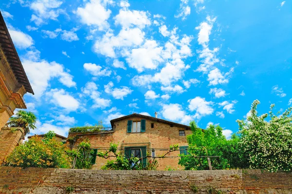 Ziegelmauer und Pflanzen in Siena — Stockfoto