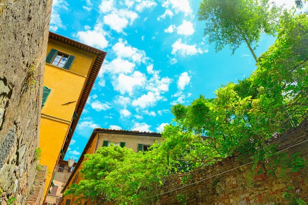 Malerische ecke in siena im frühling — Stockfoto