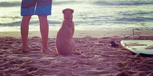 Perro y surfista de pie sobre la arena —  Fotos de Stock