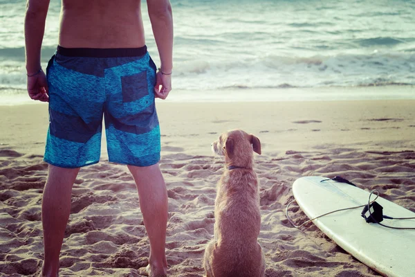Surfer και σκυλί με μια σανίδα του σερφ — Φωτογραφία Αρχείου