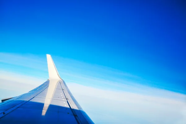 Flügel am blauen Himmel — Stockfoto