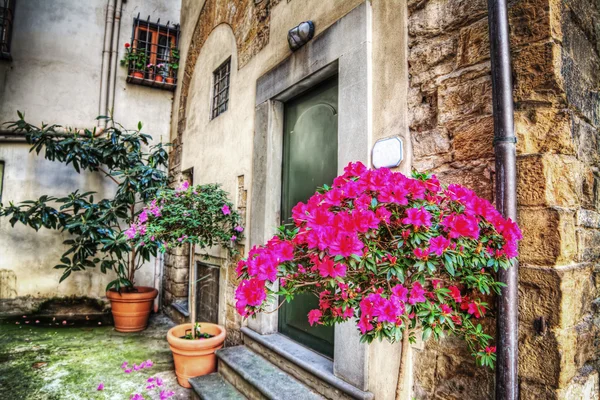 Floransa'da pitoresk köşe — Stok fotoğraf