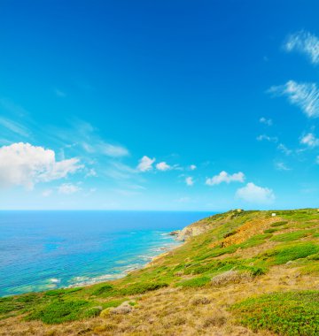 Sardinya yeşil kıyı şeridi