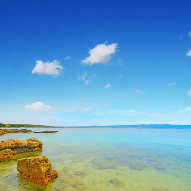 Alghero kıyı kum ve kaya