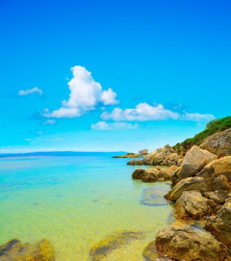 Alghero kıyı şeridi sarı kayalarda