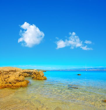 Alghero kıyı sarı kayalarda