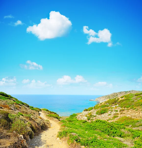 Sentiero sterrato fino alla costa — Foto Stock