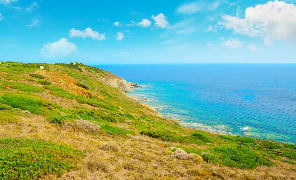 Groene kustlijn in Sardinië — Stockfoto