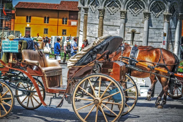 Coche y caballo en Piazza dei Miracoli en Pisa —  Fotos de Stock
