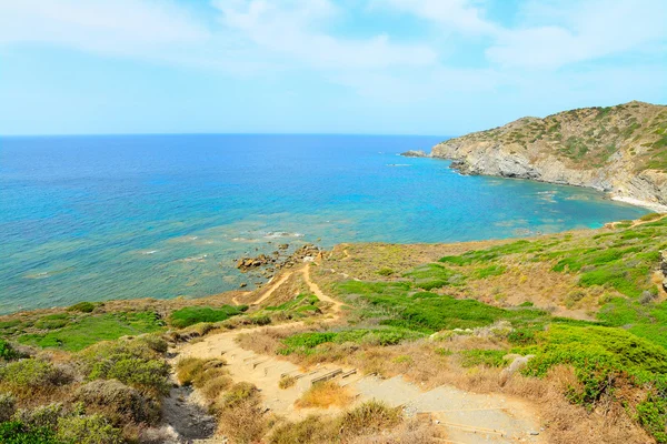Costa verde della Sardegna — Foto Stock