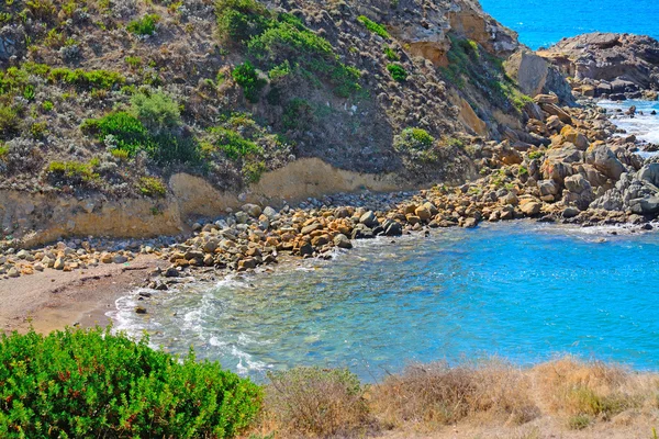 Mer bleue et plantes vertes en Sardaigne — Photo
