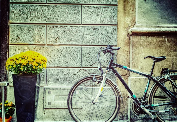 Cykel och blommor mot en vägg — Stockfoto