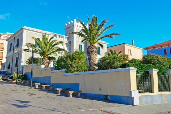 Palmy a budov v Alghero — Stock fotografie